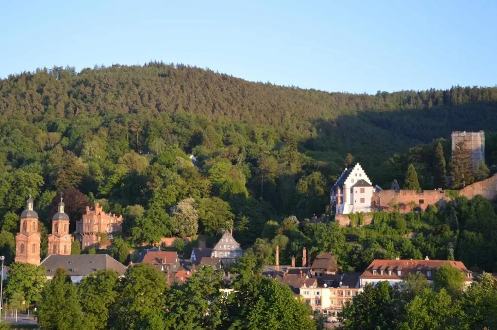 Panorama-Blick Miltenberg, 3 Pers., zentr., am Main, Terrasse, Bootverleih, P
