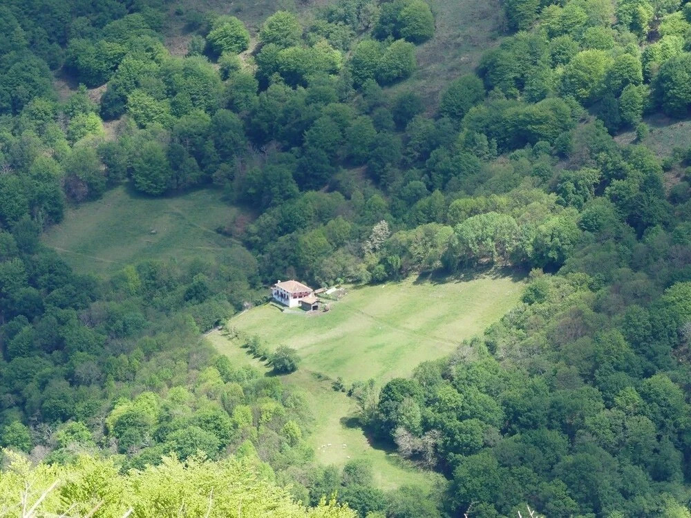 Bagoleko Borda I