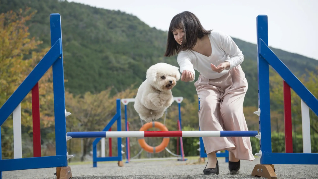 Wan Wan Paradise Matsusaka