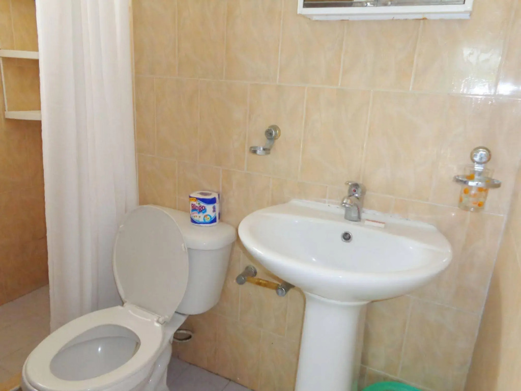 RIG Hostel Boca Chica Back Packer