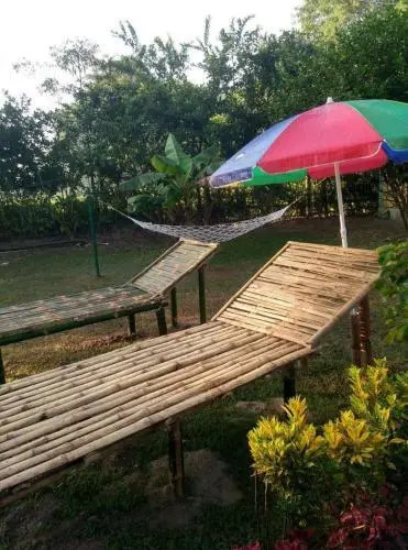 Mystic resort amidst Tea Garden