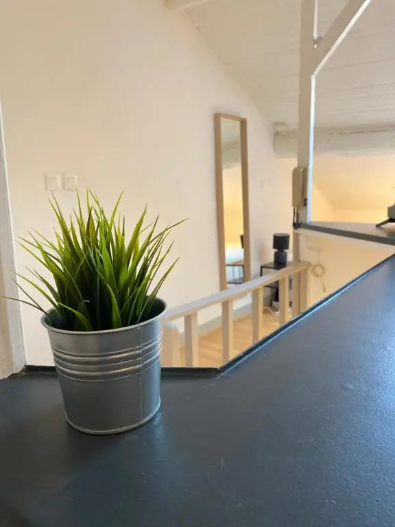 Les Cosy de Nancy - Le Nid Douillet - 4* (Adults Only)