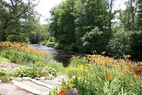 Little River Bed & Breakfast