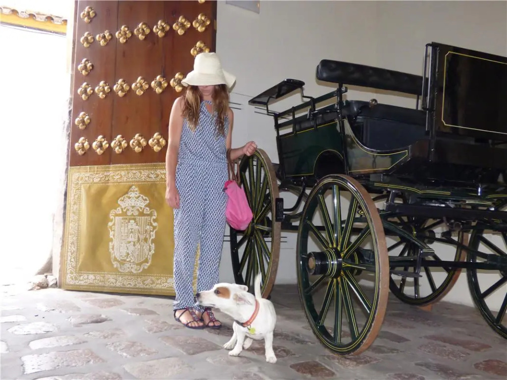 Las Casas de la Judería de Córdoba