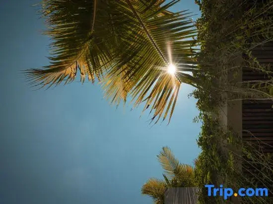 Award-Winning 3BR Villa 25m Pool Villa FEH