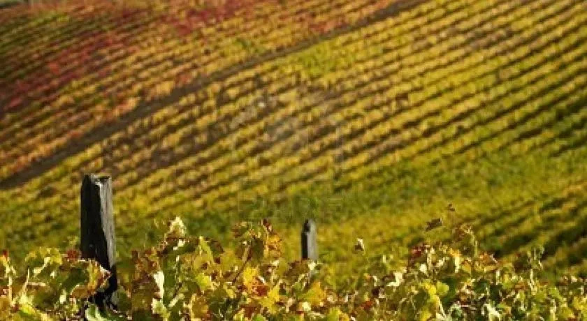 Il giardino di Giupi