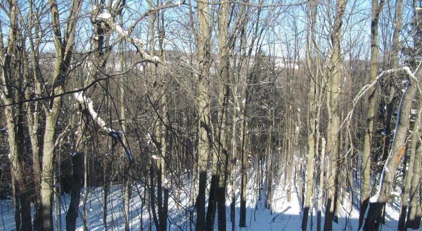 Sequel inn Creemore