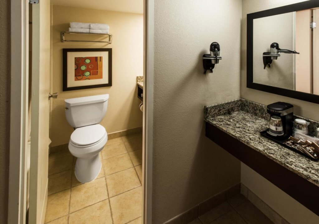Drury Plaza Hotel Orlando - Disney Springs Area