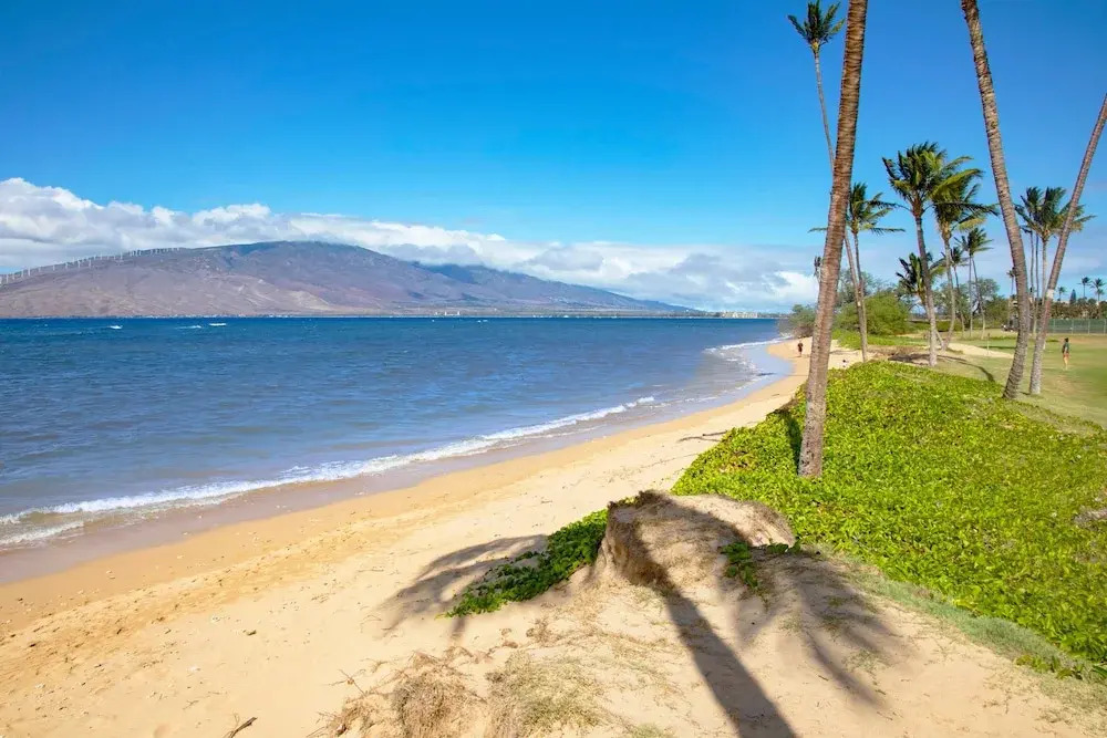 2BR/2BA Oceanfront Condo in Maui Sunset
