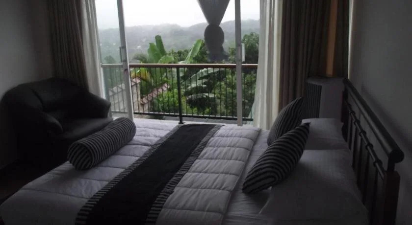 Misty Hills