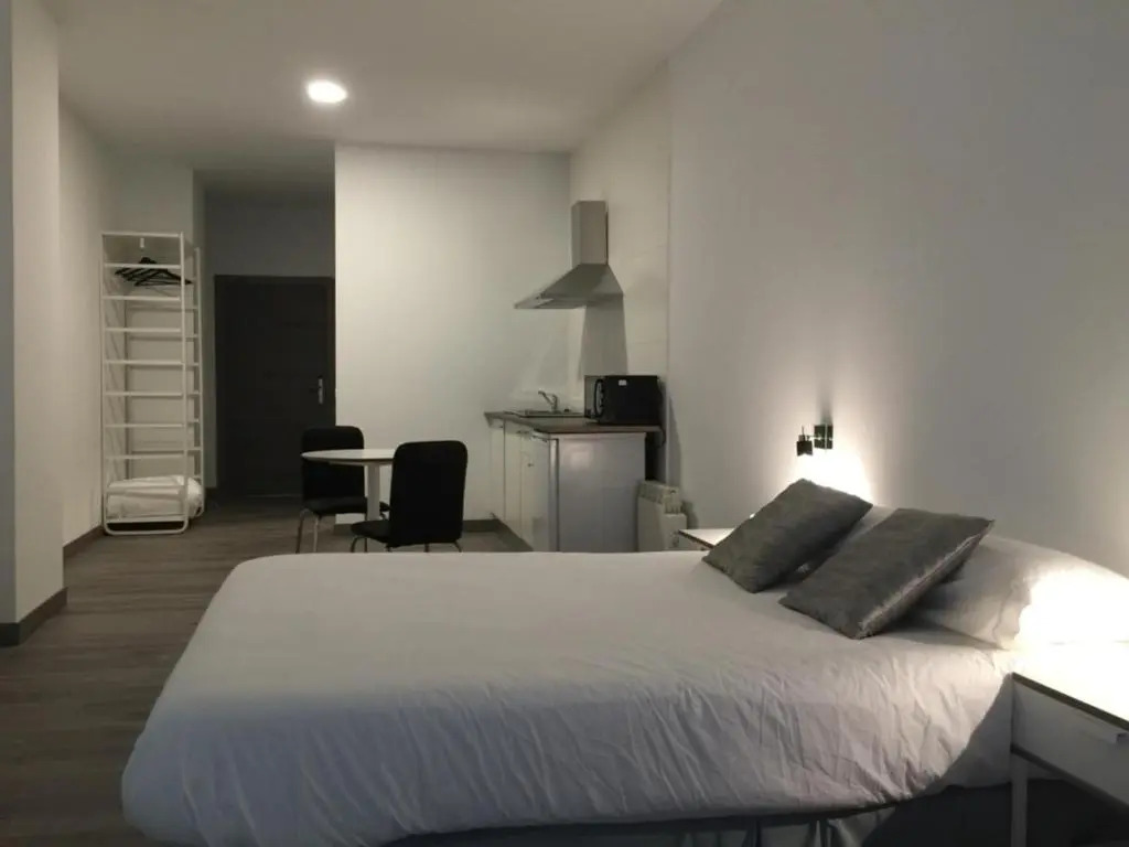 Room and Kitchen Bilbao