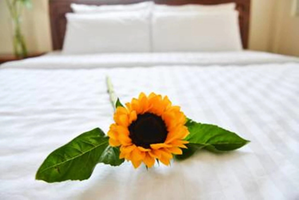 Vien Dong 2 Guesthouse