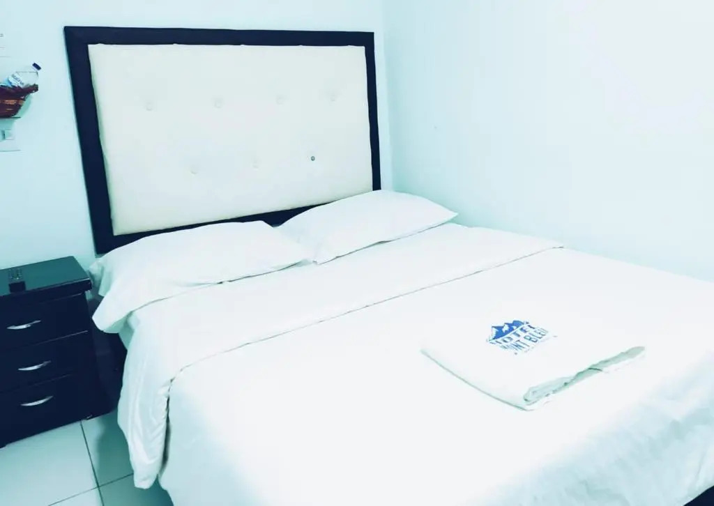 Hotel Mont Bleu