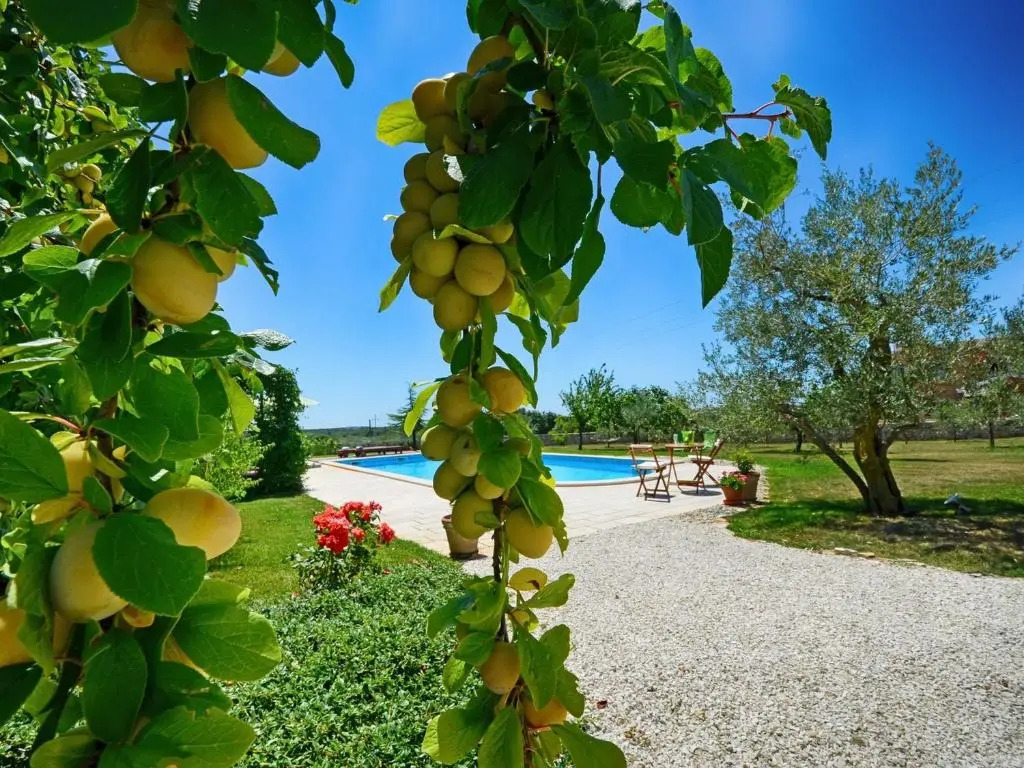Villa Benka, Istrian stone house