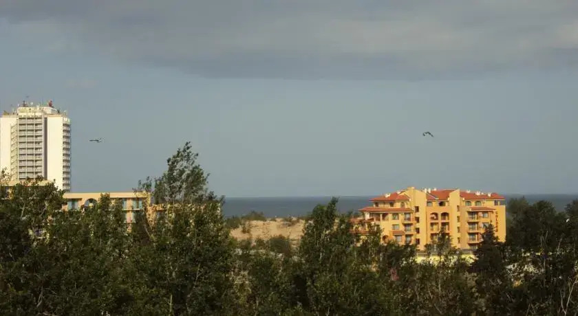 Duplex Penthouse Apartment Lipin