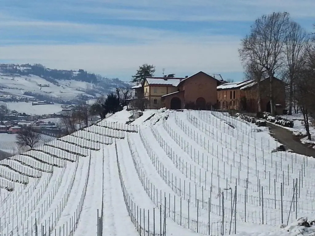 Tenuta Montanello B&B