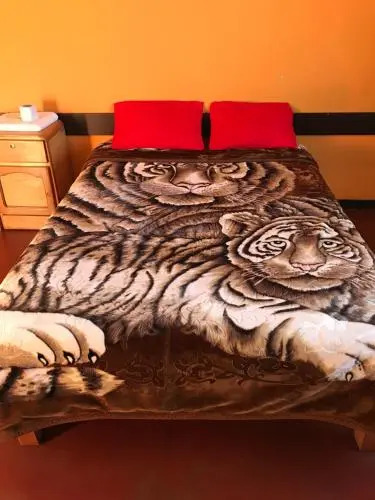 Tour Hostal Wanka