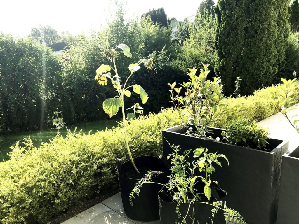 Business Apartment TUSCANY, Terrasse, WiFi, separater Eingang