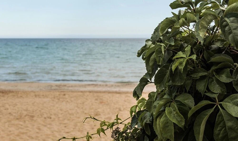 Casa la conchiglia sulla spiaggia