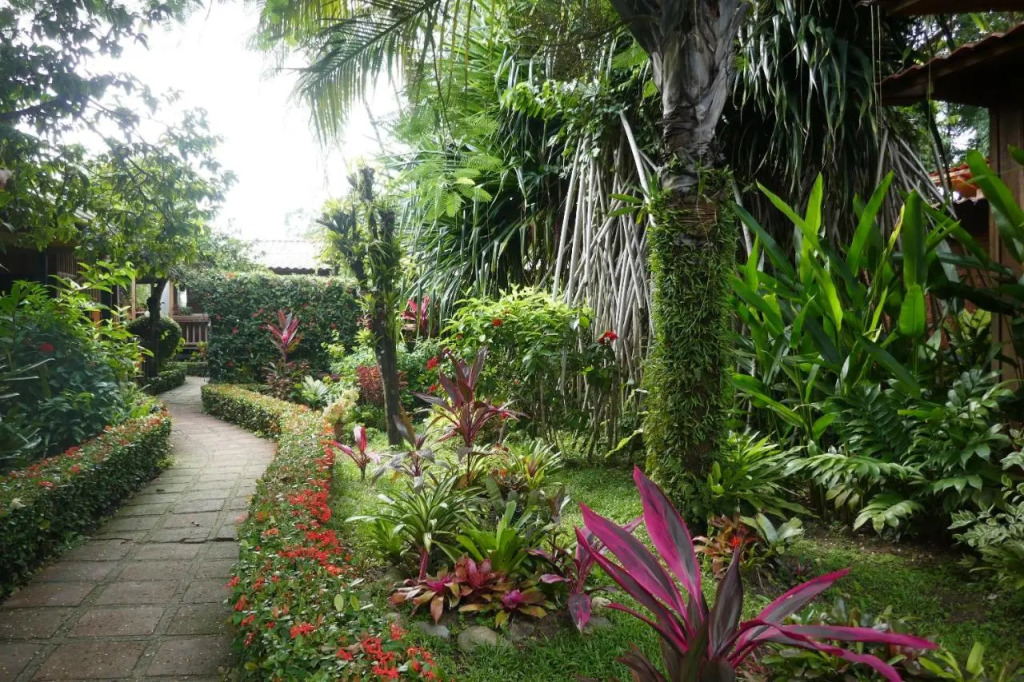 Escape Caribeño