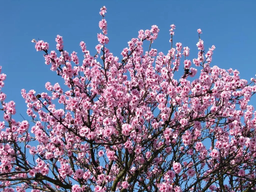 Wellness-Ferienhof am Rebgarten