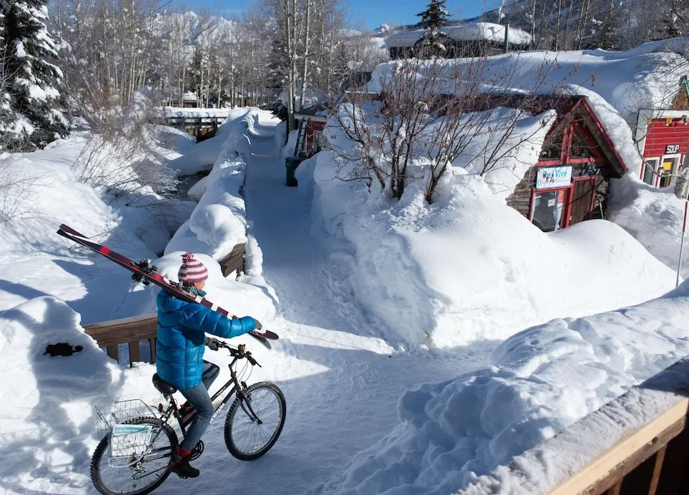 Updated 1 Br - Ski-in/ski-out Access 1 Bedroom Condo - No Cleaning Fee! by RedAwning