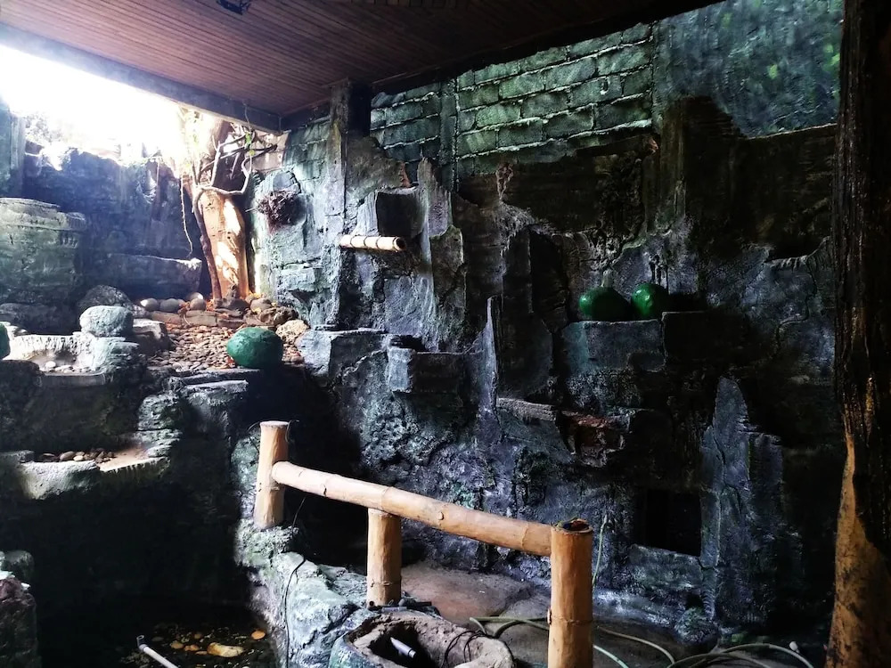 Bunk'd Backpackers Villa - Hostel