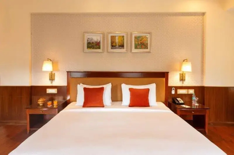 Hotel Dragon Leh