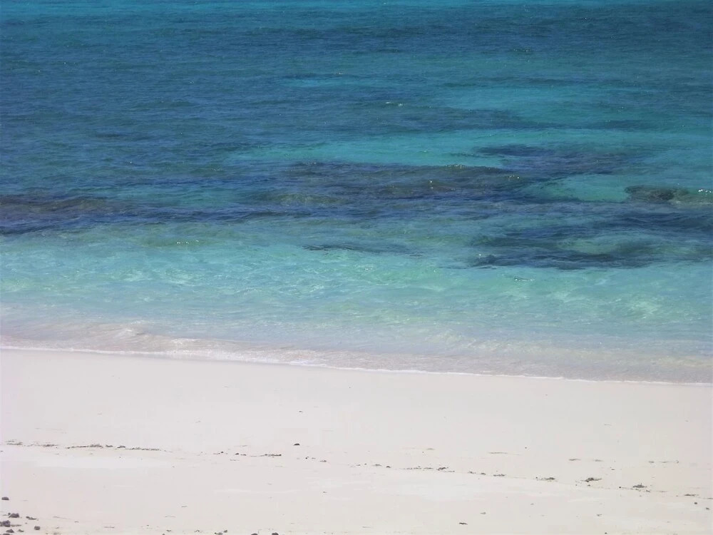Sea Beach Suite