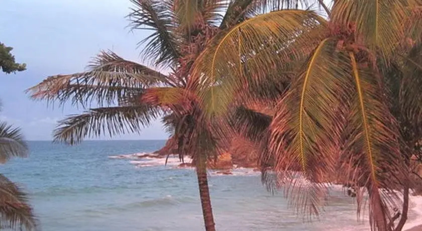 Coconut Apartment