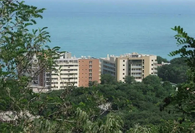 Apartment Debora