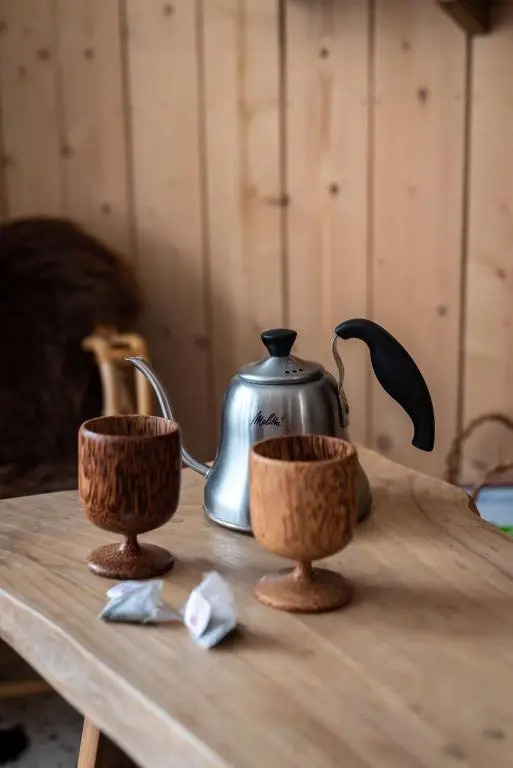 Studio Insolite Viking (Adults Only)