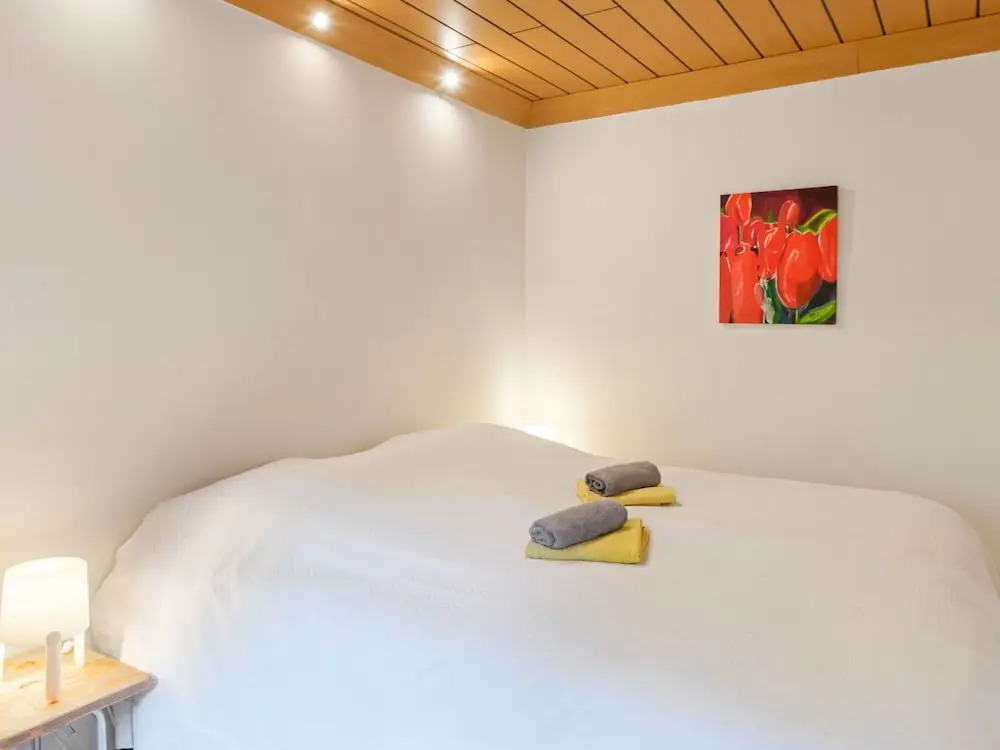 Large Holiday Home near Winterberg with Garden, Terrace, & Garage
