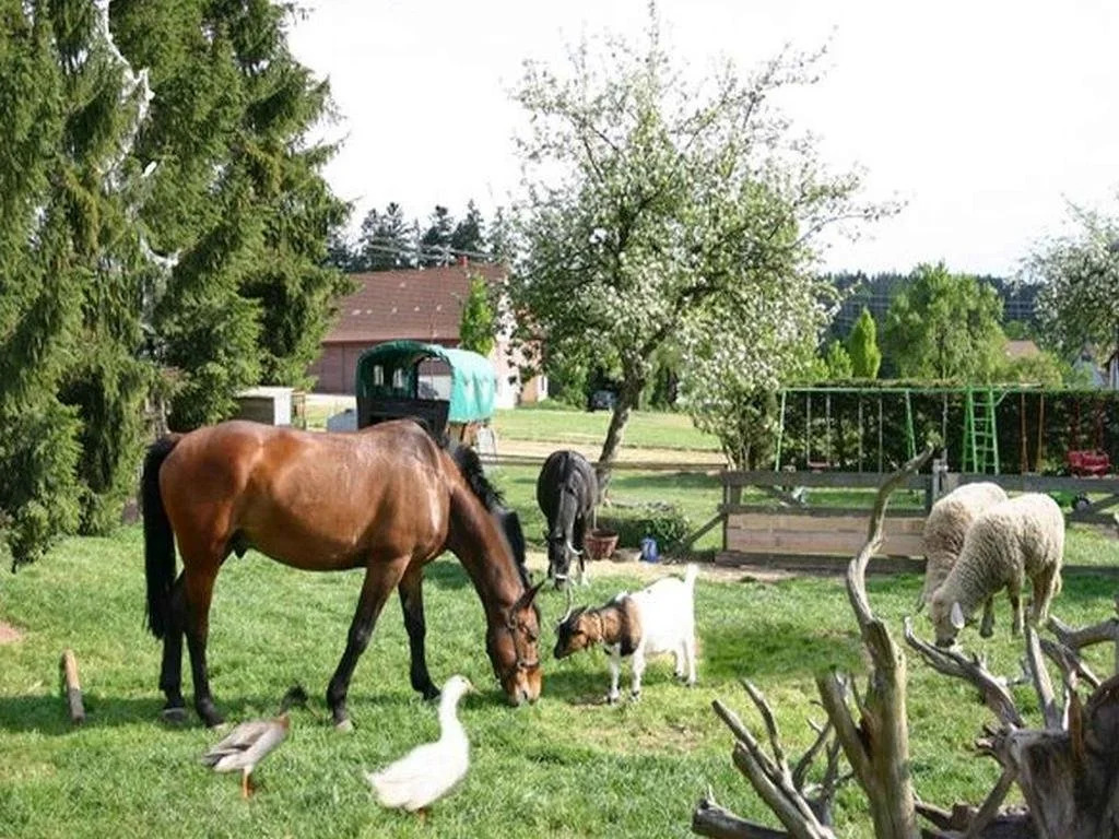Ferienhof Hirschfeld