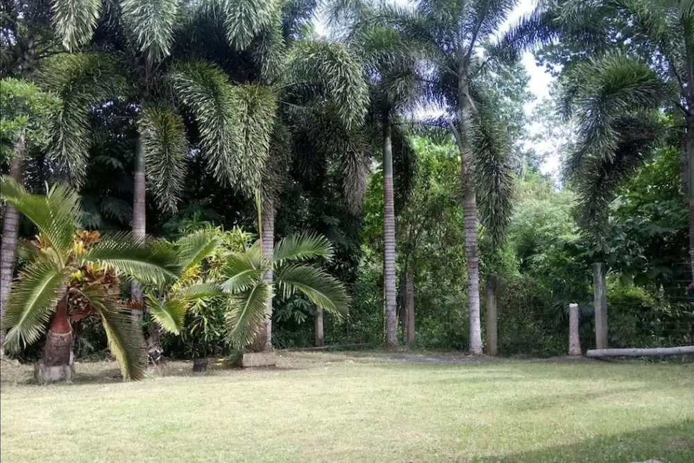 Sarmiento Guesthouse