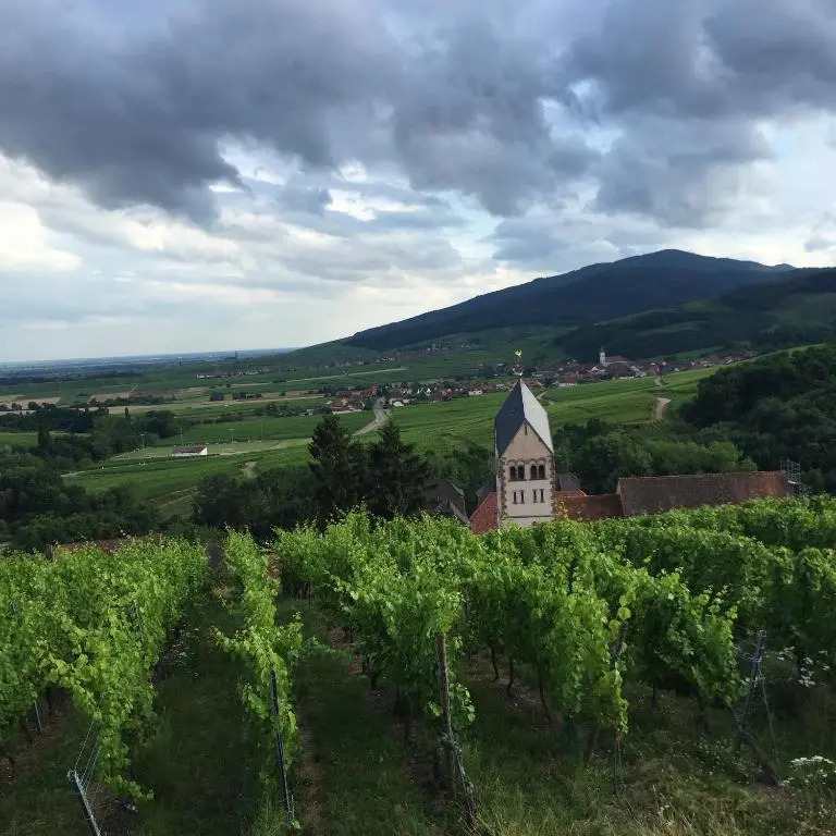 Gîte FLEUR DE VIGNES