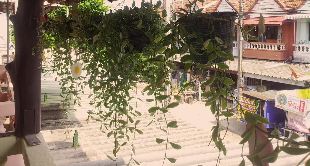 Chiang Rai Muzi