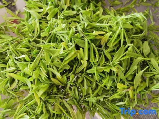 Hangzhou Xihu Scenic Area Hong'er Farm stay