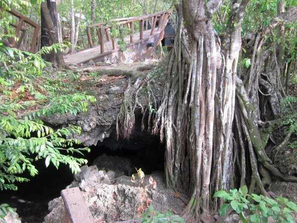 The Rock House Eco