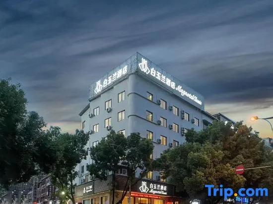 Magnolia Hotel
