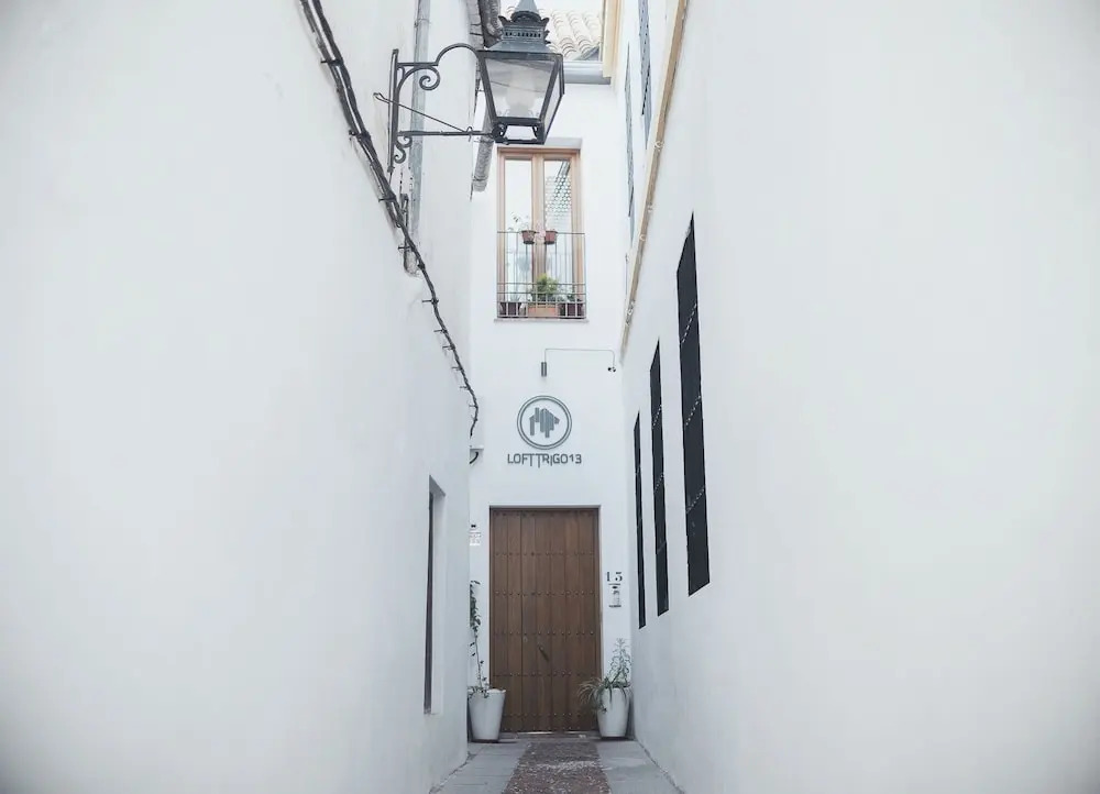 Lofts Trigo 13