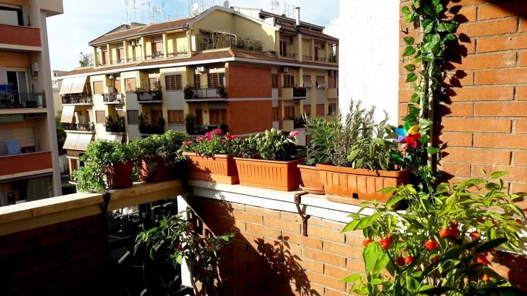 La casa di Egle 2020