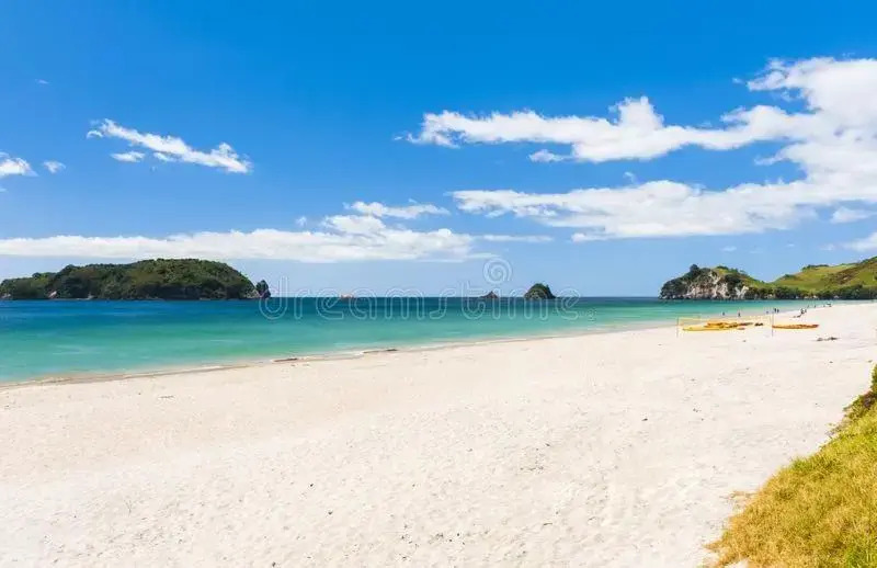 MacDonalds Rest - Hahei beach house
