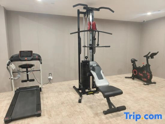 Millennium Walk Wei Cheng Sha Travel Cultural Hotel (Gulou Branch)