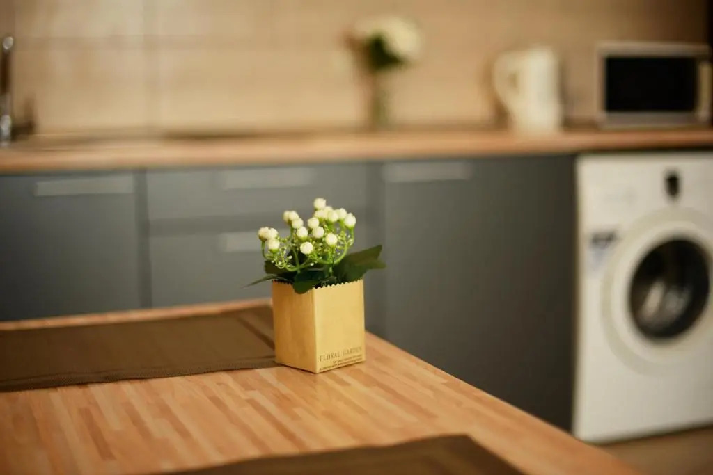 Palanga Apartments - Studio 1