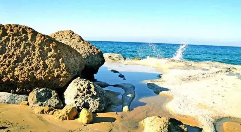 Dar il Palm