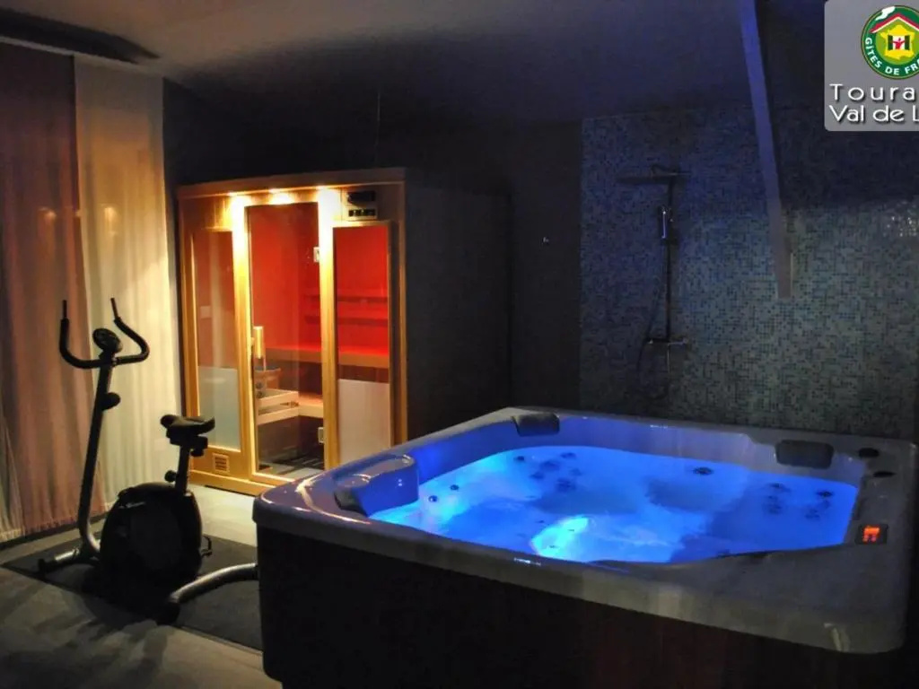 Maison en Touraine avec Spa et Sauna, proche Châteaux de la Loire - FR-1-381-473