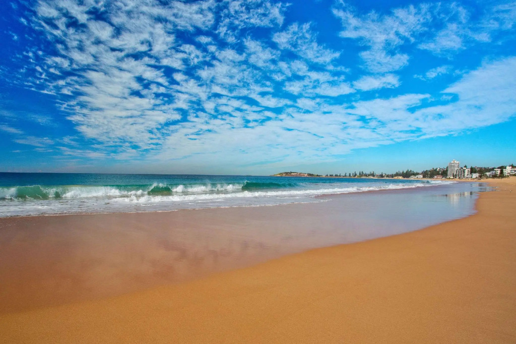 Nightelier Narrabeen