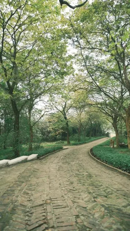 Yen Bai Resort