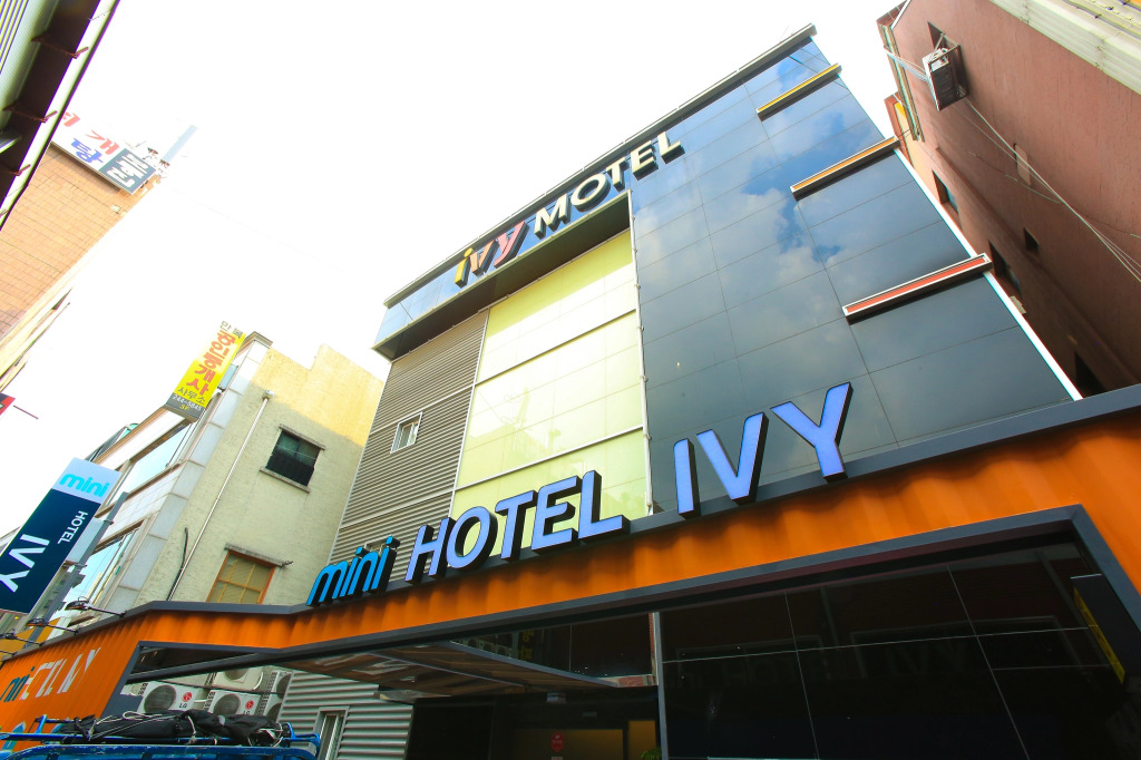 mini hotel IVY